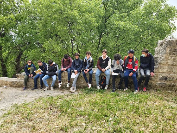 s 25024a43-883b-41a8-99d9-68a2f95f3915