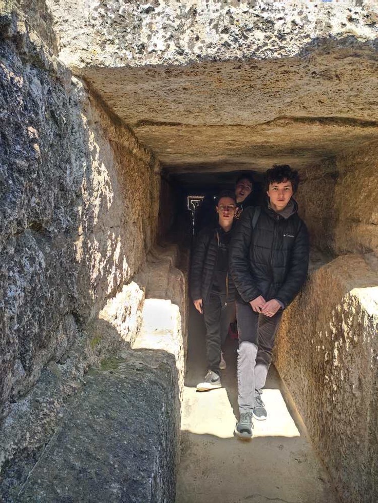 s 8603941e-cec5-436e-a077-b4e4b479b67d